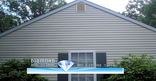 After Image-Diamond Roof Cleaning Soft Wash